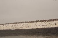 
DSC00164